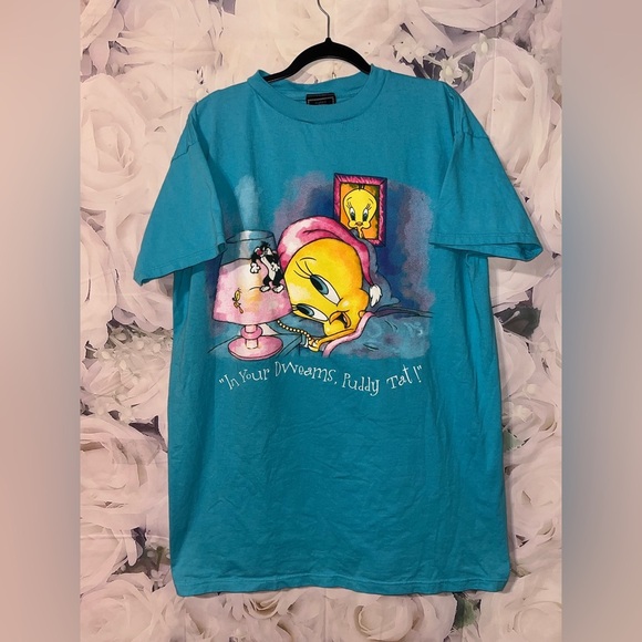 Warner Bros. Other - VINTAGE Tweety Bird Sylvester the Cat Nightgown 90s One Size Women’s Cartoon USA